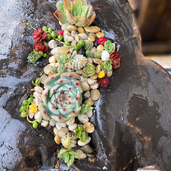 Meet the Posher Kasia - Picture 9 of 16